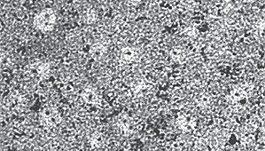 nanoparticlesx299