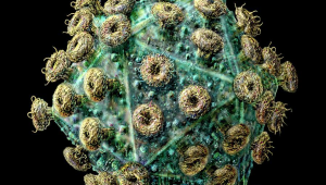HIV-virus