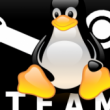 Betatester für die Linux-Version von Steam gesucht