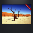 DIE App #2 – Snapseed