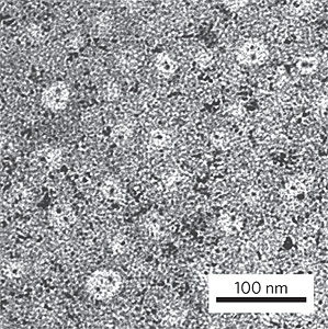 Nanokapseln, die innerhalb von Sekunden nüchtern machen?