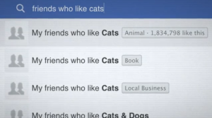 facebook-privatsphaere