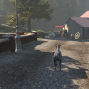 Der Ziegen Simulator