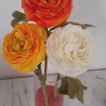 Testbild Note 3