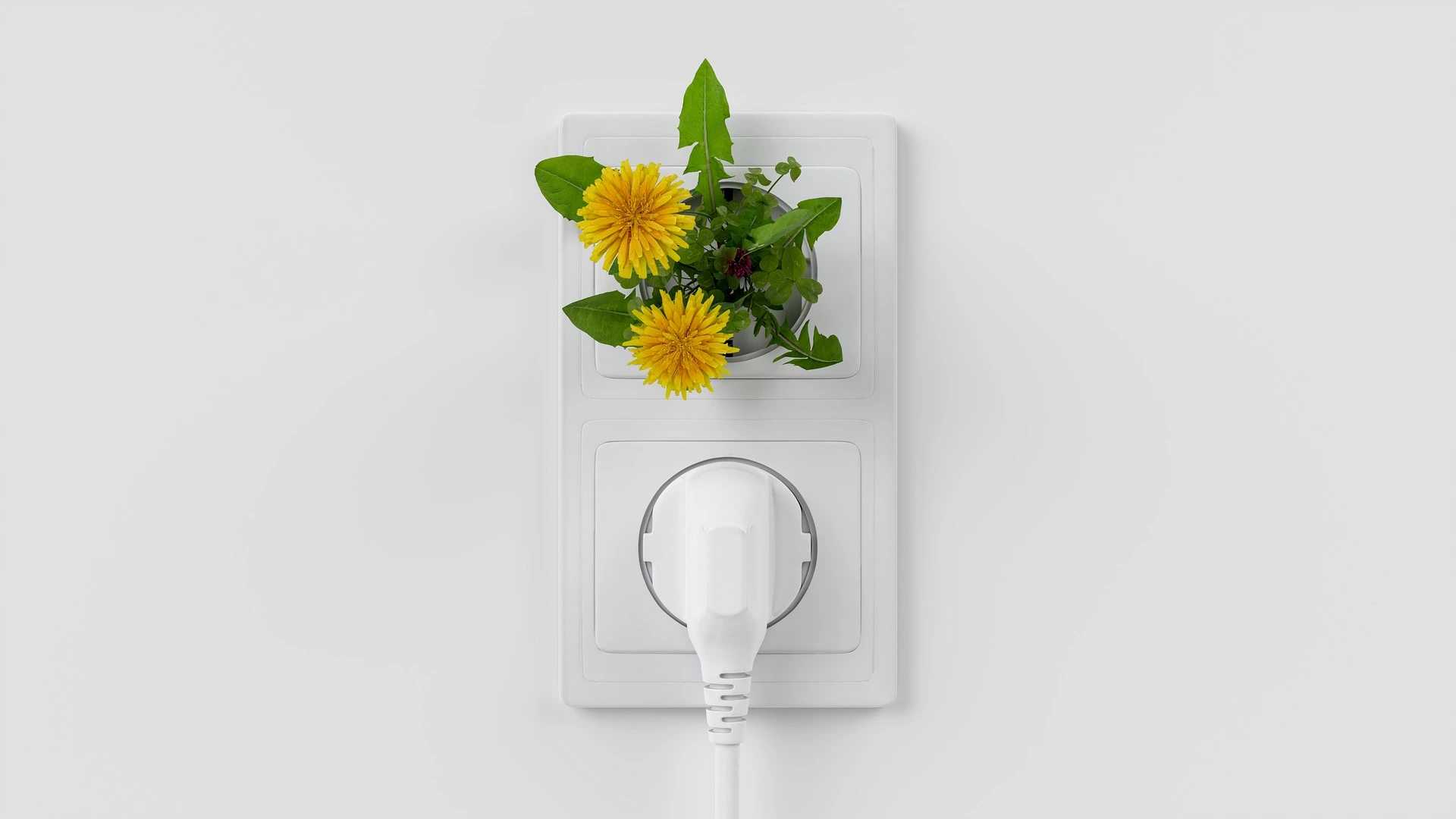 Wie kommt der Strom zur Steckdose?